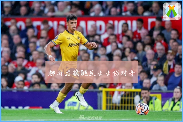 柳海龙擒腿反击击伤对手